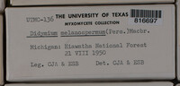 Image Associated With the Occurence